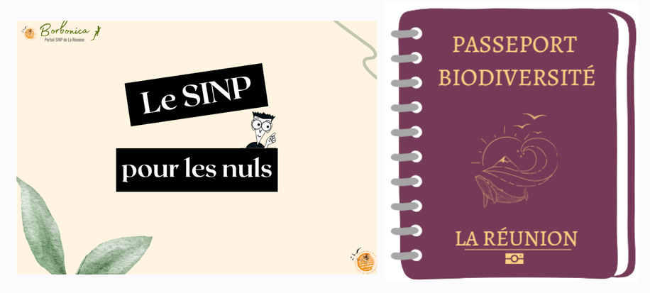 Nouveaux outils de communication SINP