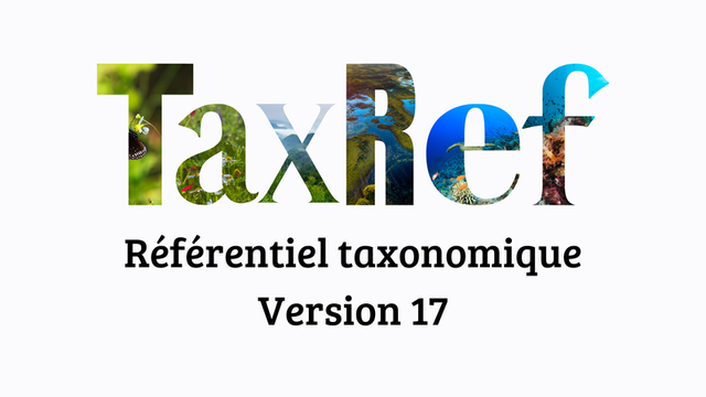 Taxref 17