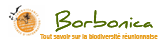 Du nouveau pour l'atlas Borbonica logo